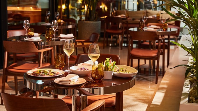 A sunlit restaurant table set for two with contemporary wooden chairs, featuring elegantly plated dishes including salad, carpaccio, and a dessert, accompanied by glasses of white wine and amber water glasses. The background shows a stylish dining space with modern décor and lush green plants.