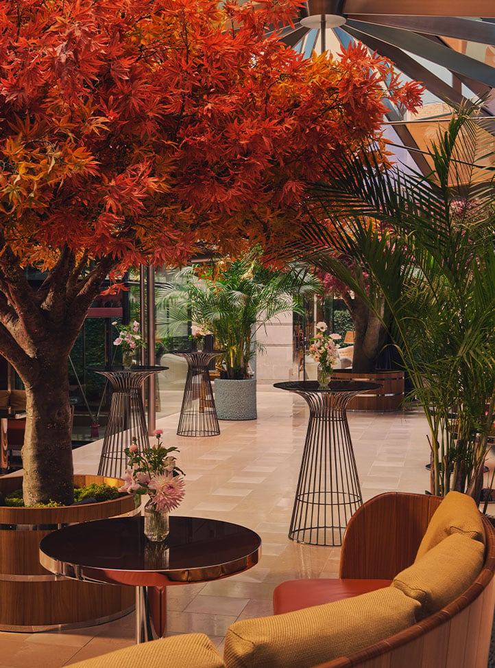 A stylish indoor area with bright orange foliage and contemporary black wire-frame tables, creating a warm and inviting ambiance under a glass ceiling.